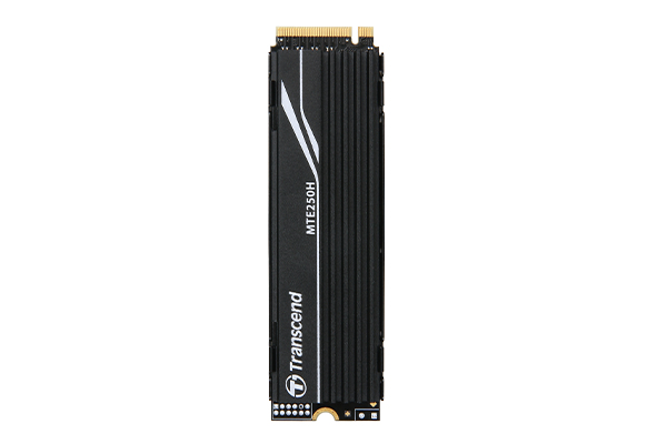 Transcend TS4TMTE250H disque SSD .2 4 To PCI Express 4.0 NVMe Neuf