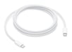 Apple MYQT3ZM/A cable USB 2 m USB C Blanco