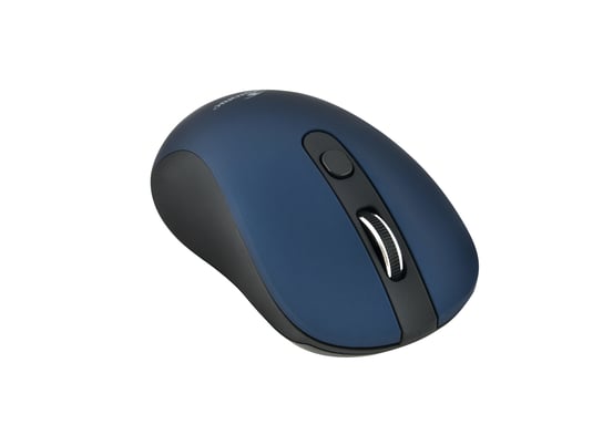 Bluestork M-WL-OFF60 souris Bureau Ambidextre RF sans fil Optique 1600 DPI