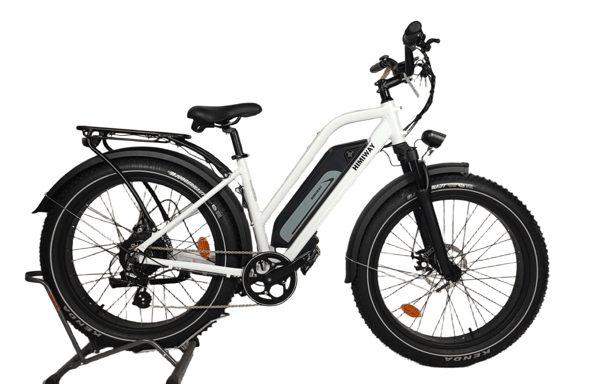 Cruiser - Bicicleta eléctrica FatBike reacondicionada