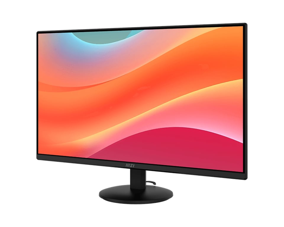 Ecran Bureautique PRO MP252L - vue 4