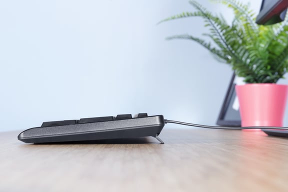 Trust Primo clavier Universel USB QWERTY Espagnole Noir