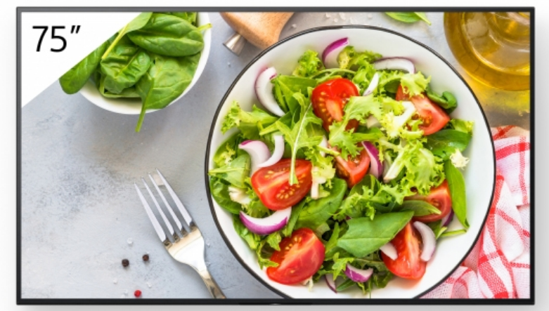 SONY 75' Pro BRAVIA LCD 550nit - vue 2