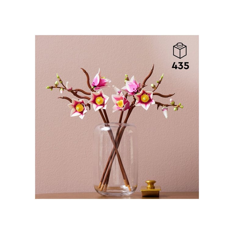 Branches de magnolia - vue 6