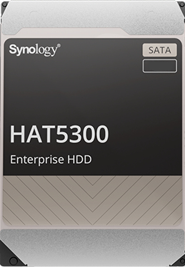 Synology HAT5300 disque dur 12 To 7200 tr/min 256 Mo 3.5'' Série ATA III