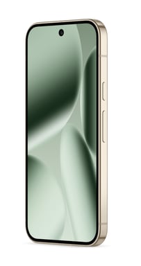 Pixel 10 Pro XL (5G) 256 GB, Verde