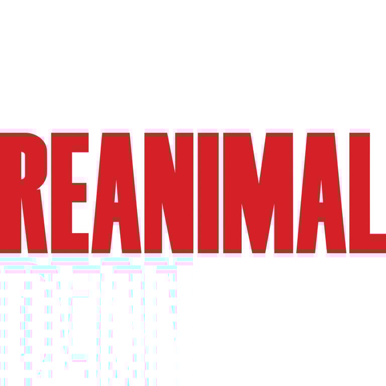 REANIMAL Deluxe Edition - vue 7