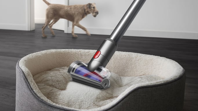 Dyson V12 Detect Slim Absolute Aspiradora escoba 2 en 1 Batería Secar Sin bolsa 0,35 L 545 W Níquel, Amarillo
