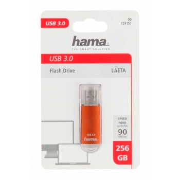 Hama Laeta 256GB Unità flash USB USB Type-A 3.2 Gen 1 (3.1 Gen 1) Marrone