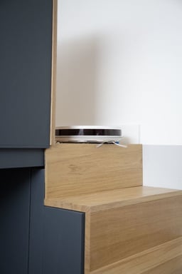 ROWENTA RR7387WH X-Plorer Serie 50 Aspirador robótico, Navegación metódica, Aspira y lava suelos, Kit para mascotas + alergias, Conn