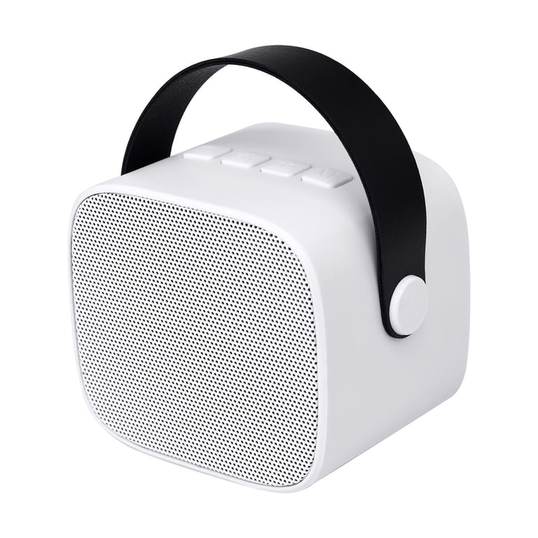 Enceinte Bluetooth 5.1 avec 2 Micro karaoké Sans Fil Modèle Party Btmic Neuf - vue 2