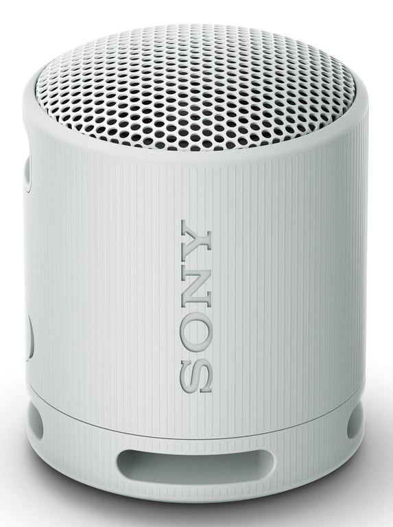 Sony SRS-XB100 Enceinte portable mono Gris - Neuf