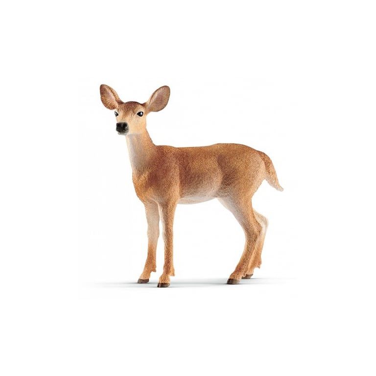 Biche de Virginie Un Animal Agile et Élégant Neuf