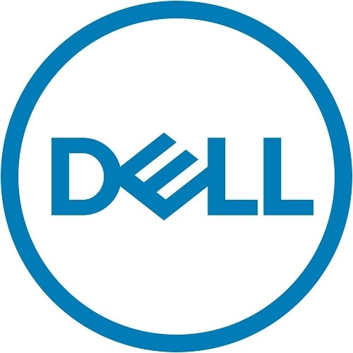 DELL 161-BBPH disque dur 4 To 7200 tr/min 3.5  NL-SAS - Neuf