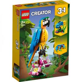 Lego Creator Le Perroquet Exotique 31136 Lego La Boîte - vue 4