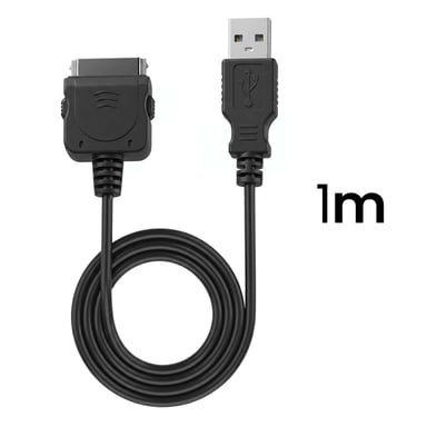 Caricabatterie mini accendisigari 1A per iPhone/iPod