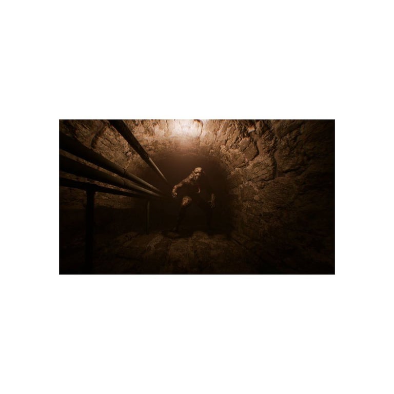 The 9th Charnel PS5 - vue 4