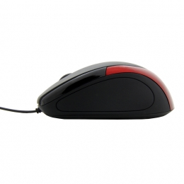 Esperanza EM102R souris Bureau USB Type-A Optique 800 DPI - Neuf
