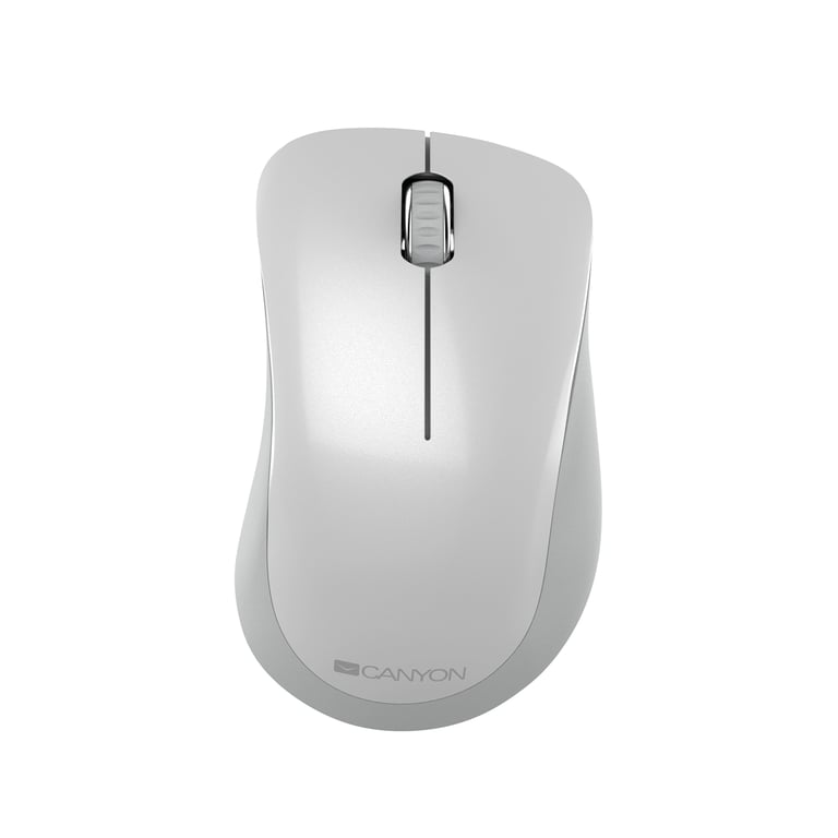 Canyon CNE CMSW11PW Droitier RF sans fil Optique 1200 DPI Neuf