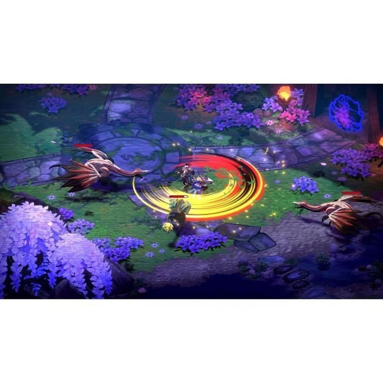 Towa and the Guardians of the Sacred Tree - Jeu Nintendo Switch - Neuf