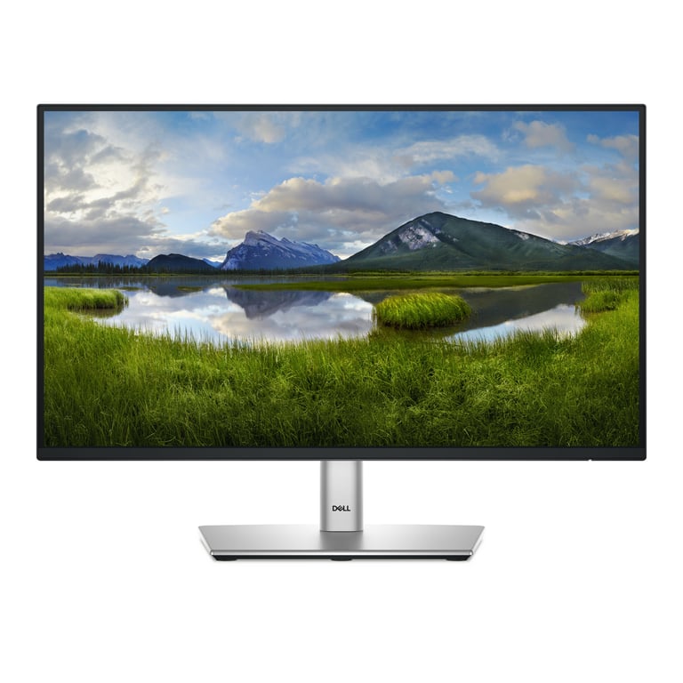 DELL P2225H - vue 3
