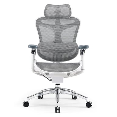 Sedia da ufficio ergonomica SIHOO Doro C300 Pro - Supporto lombare auto-regolabile, Braccioli 5D, Schienale in Rete - Bianco