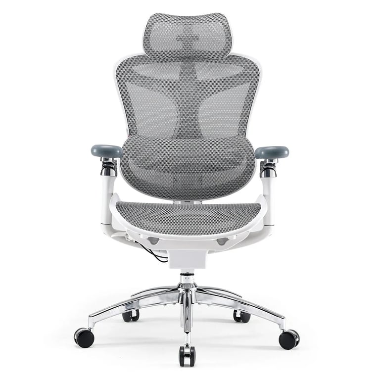 SIHOO Doro C300 Pro Chaise de bureau ergonomique Accoudoirs 5D support lombaire auto ajustable dossier en maille Jusqu'à 150kg 3 pieds réglables 92°/100°/112° Certifié BIFMATÜV 77x67x127cm Neuf