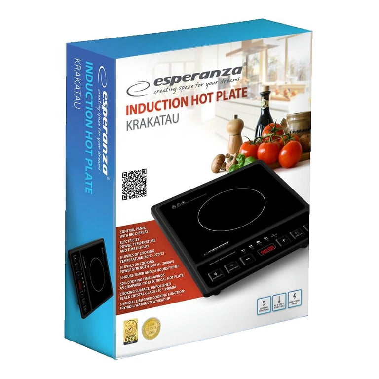 Esperanza EKH011 plaque Comptoir Plaque avec zone à induction 1 zone - vue 3