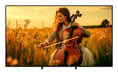 Sony K-75XR5 190,5 cm (75'') 4K Ultra HD Smart TV Wi-Fi Nero