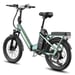 Vélo électrique FAFREES F20 Flex pour les trajets domicile-travail, batterie 36 V 20 Ah / autonomie de 100 km, capteur de couple - vert éclatant