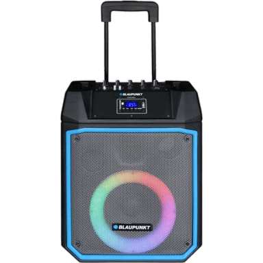 Altavoz Bluetooth Blaupunkt PB08DB 700W Negro