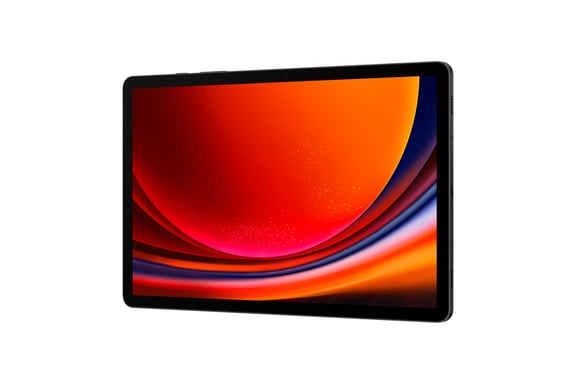 Galaxy Tab S9 5G (11'') 256 GB, Grafite