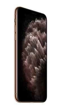iPhone 11 Pro Max 256 Go Or [SANS FACEID]