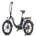 FAFREES F20 Pro Bicicletta elettrica - Motore 250W Batteria 648WH Autonomia 80KM - Nero