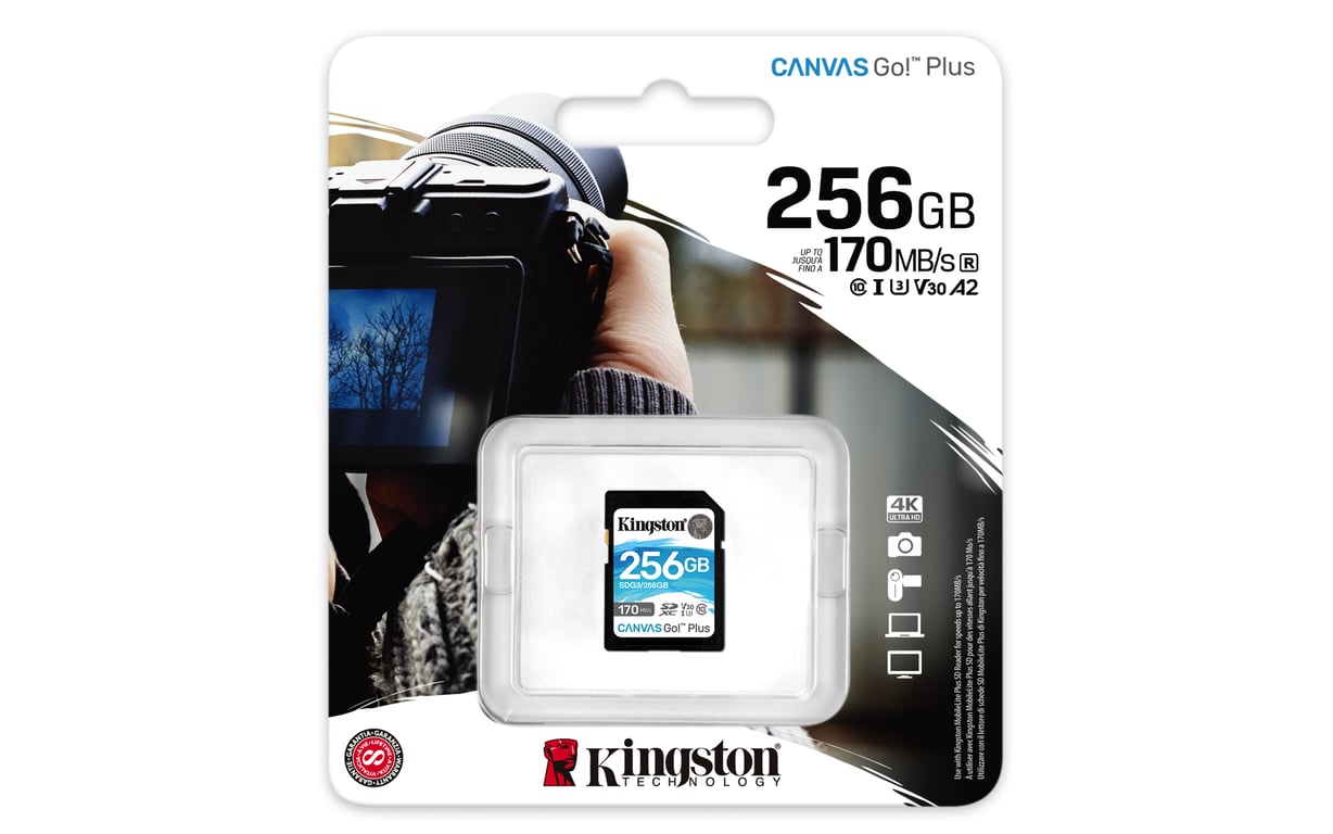 Kingston Technology Canvas Go! Plus Carte SDXC Canvas Go Plus 170R C10 UHS-I U3 V30 de 256 Go - Neuf