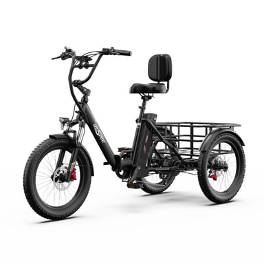 Tricycle électrique ONESPORT OT30 PRO 500 W, batterie 48 V 18 Ah