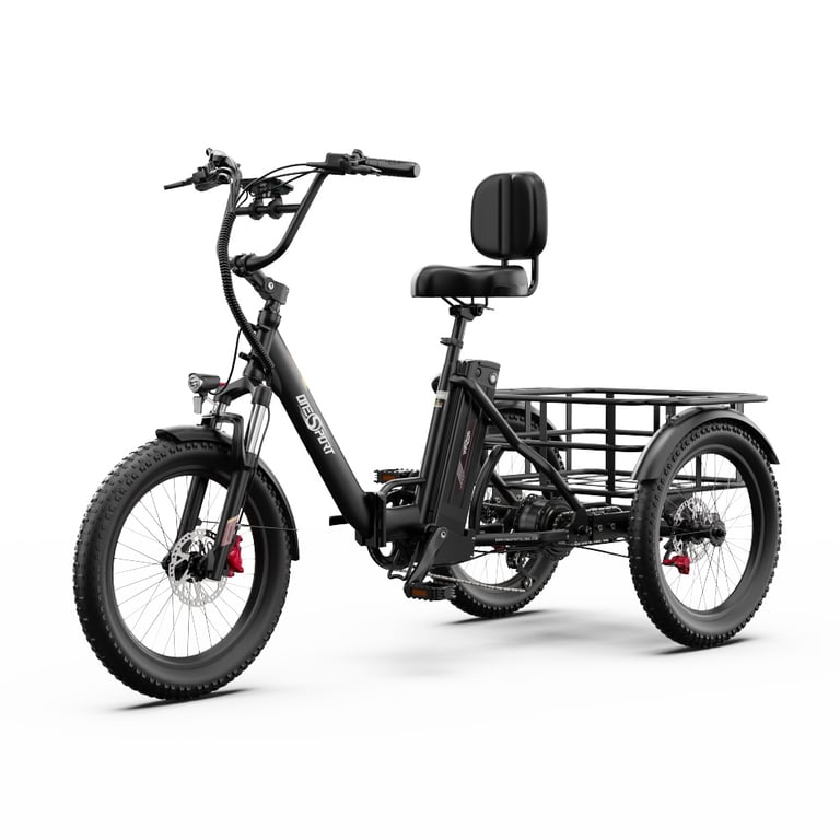 Tricycle électrique ONESPORT OT30 PRO 500 W, batterie 48 V 18 Ah - Neuf