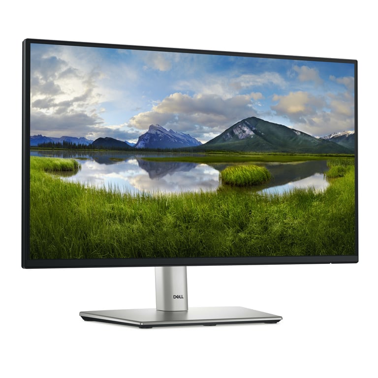 DELL P2225H - vue 5