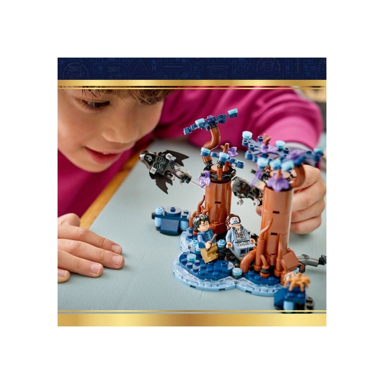 LEGO Harry Potter 76475 La Forêt interdite Expecto Patronum 244 pièces Noir et multicolore - Neuf