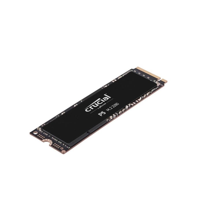 CRUCIAL - SSD Interne - P5 - 1To - M.2 Nvme (CT1000P5SSD8)