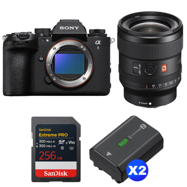 Appareil photo hybride Sony Alpha 1 II + FE 24mm f/1.4 GM + 1 SanDisk 256GB Extreme PRO UHS-II + 2 Sony NP-FZ100 + Ebook ''20 astuces pour des images qui claquent''
