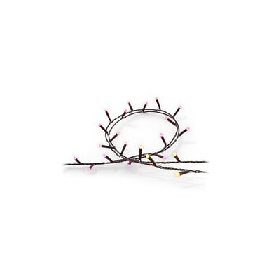 Philips Hue Festavia Luce decorativa bianca e colorata a 250 LED, nero