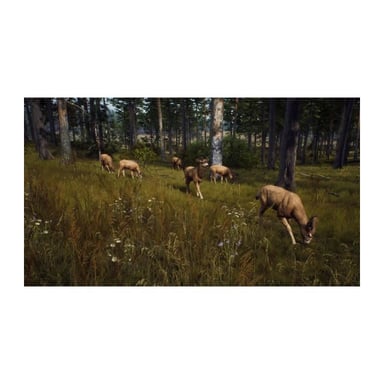 La via del cacciatore PS5