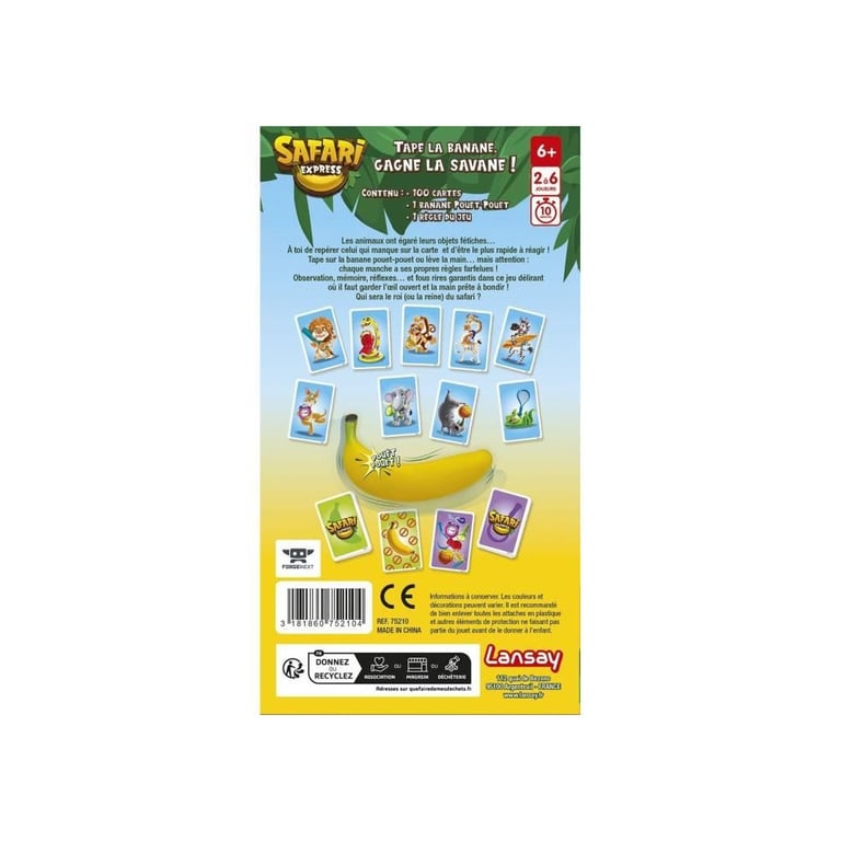 SAFARI EXPRESS - vue 6