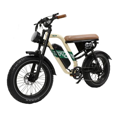 Vélo Électrique MAXTURN W66 - Moteur 500W Batterie 48V13.5AH 20'' Pneus Freins À Disque Hydrauliques - Beige