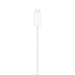 Cavo di ricarica rapida da Apple Magnetic a USB-C per Watch (1 m)