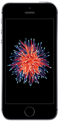 iPhone SE 32 Go, Gris sidéral, débloqué