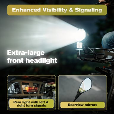 Tricycle électrique FAFREES F20 Mate II, batterie 48 V 21 Ah, freins à disque hydrauliques, paniers avant et arrière - Vert