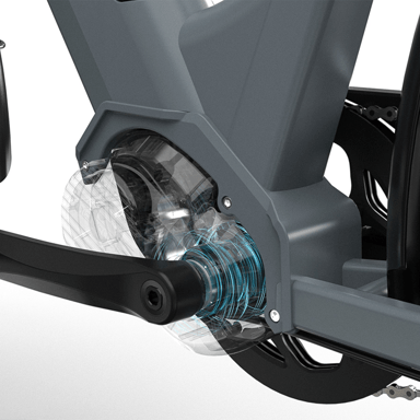 Bicicleta eléctrica para adultos Lyon Pro con motor central de 250 W y batería de 36 V y 15 Ah