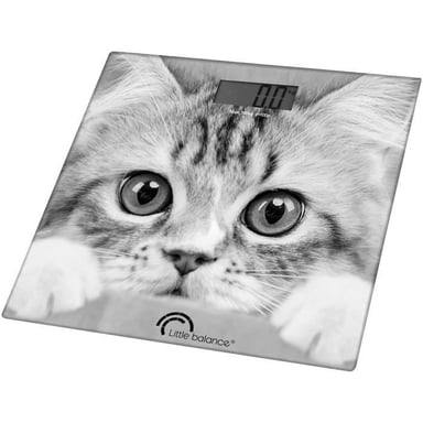 La bilancia Cat 180kg 100g
